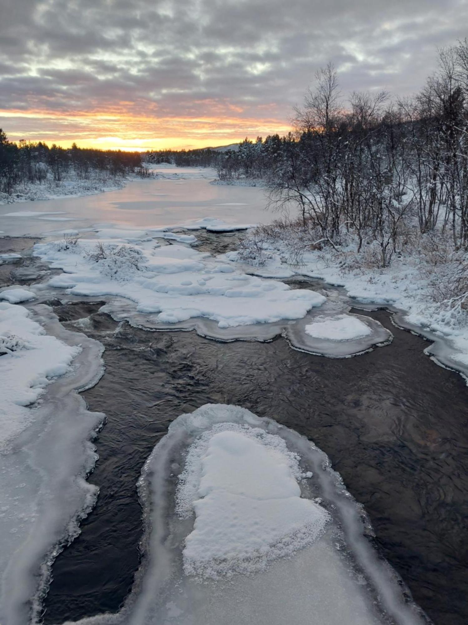 Muotkan Ruoktu Tunturikyla Inari Extérieur photo